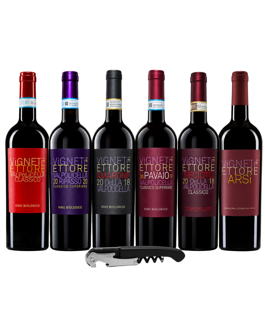 Probierpaket - Weine aus Valpolicella (6er Set)