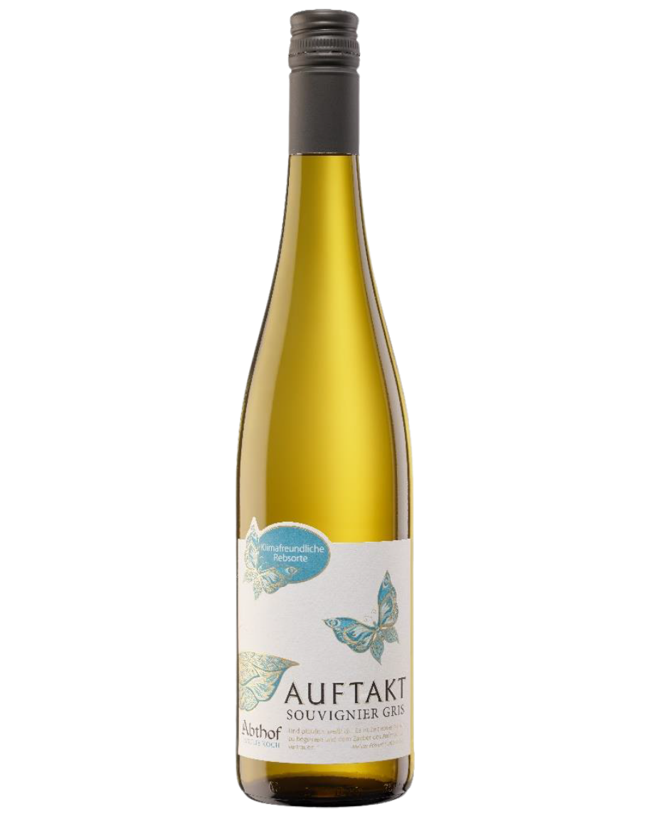 Abthof Auftakt Souvignier Gris