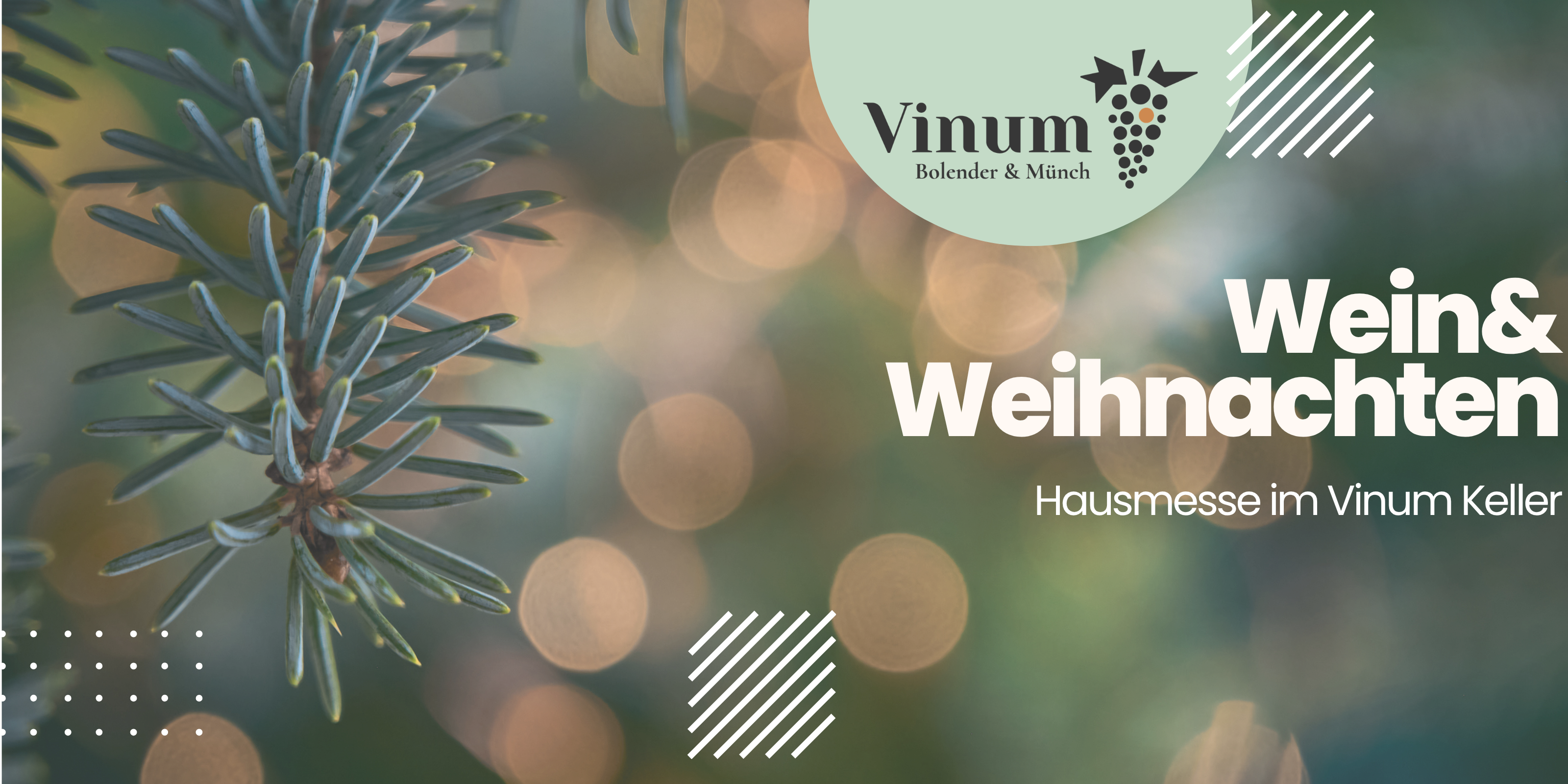 Wein-Nacht im Vinum Keller